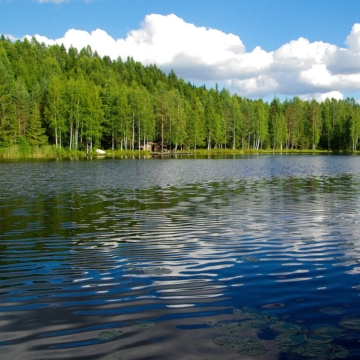 Versand nach Finnland