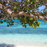 Versand nach Barbados