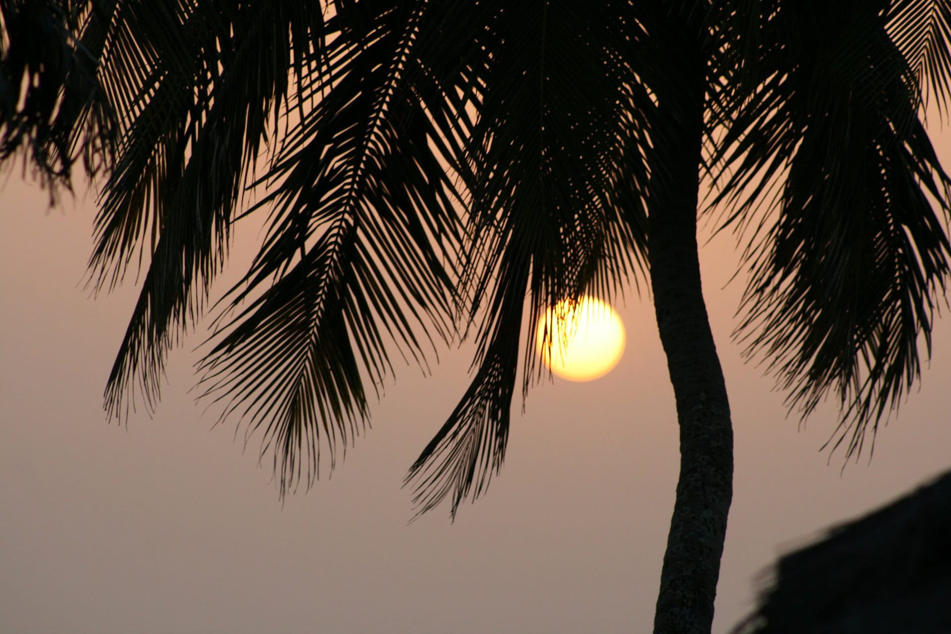 Guinea-Bissau