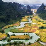 Versand nach Vietnam